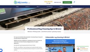 Carpet Cleaning Website Design